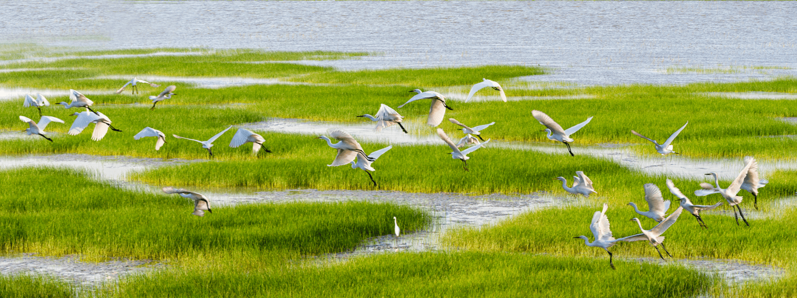 生態(tài)優(yōu)先、綠色發(fā)展
